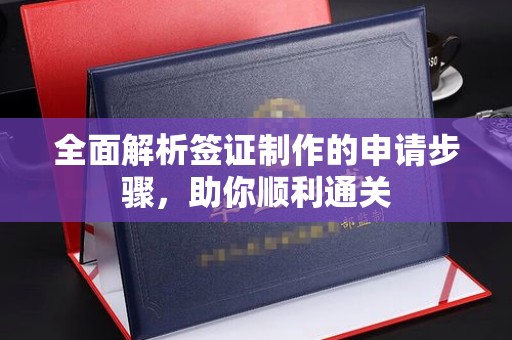 东兴全面解析签证制作的申请步骤，助你顺利通关